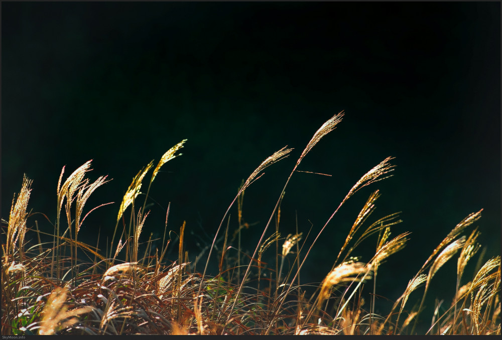 내 안엔 니가 저물고 (The you inside me fades) Photo-Image