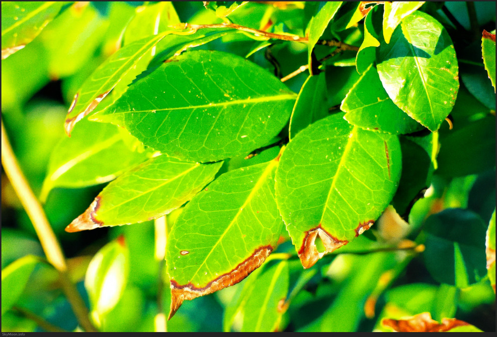 내 안엔 니가 저물고 (The you inside me fades) Photo-Image