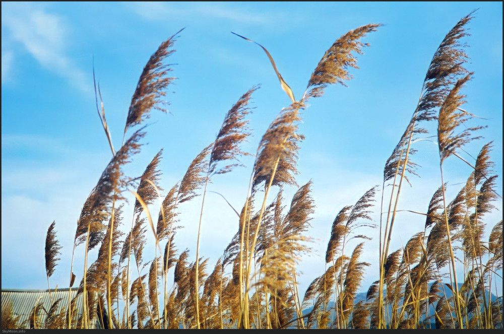 길의 끝에서 (At the End of the Road) 1 Photo-Image