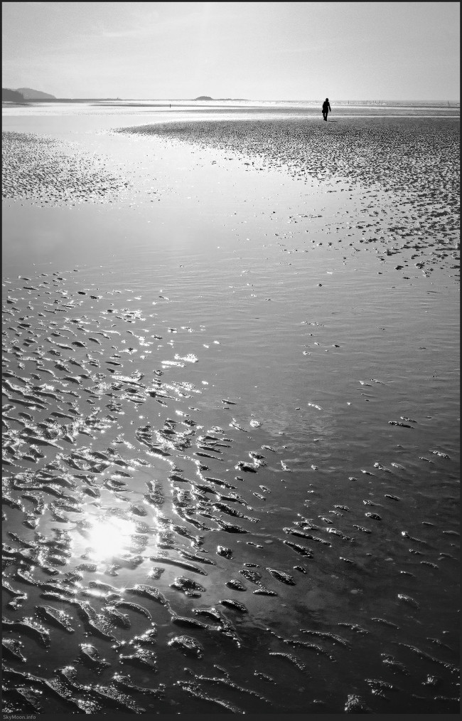 길의 끝에서 (At the End of the Road) 1 Photo-Image