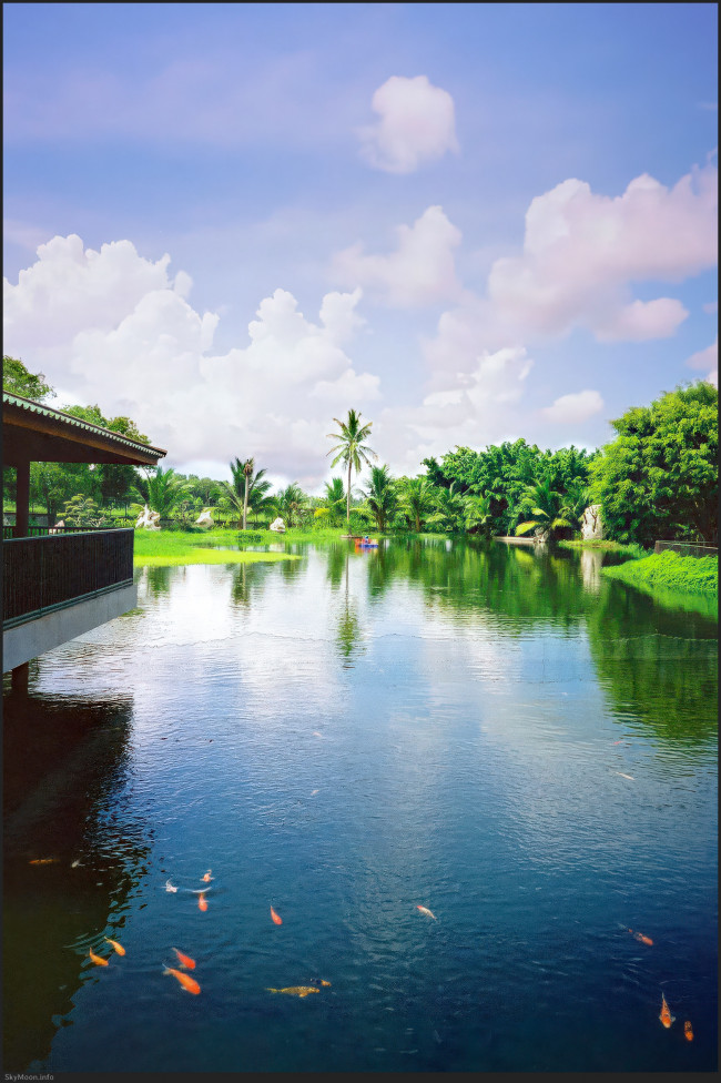 Farewell 2003 Photo-Image