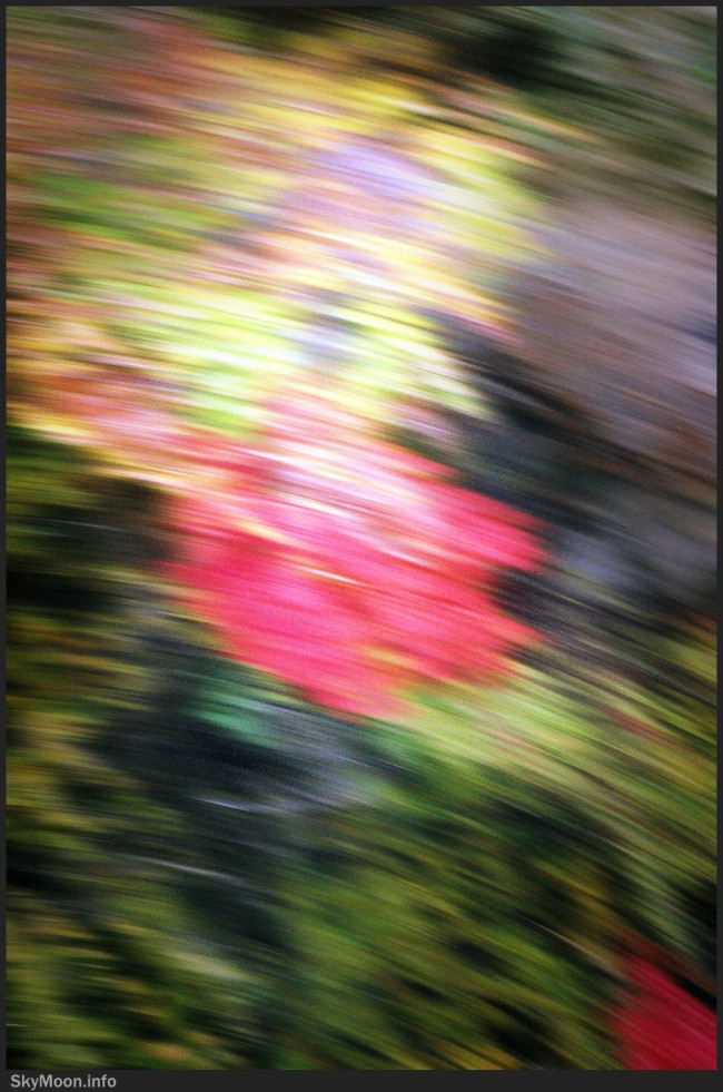가을의 길 1 Photo-Image