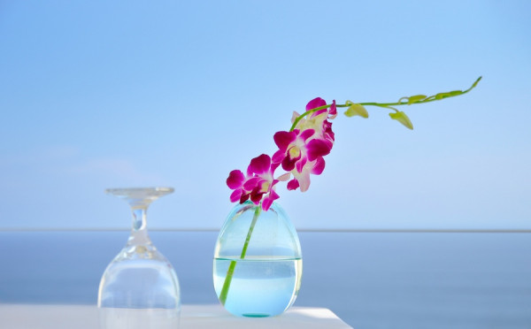 빛의 태어남 (The Emergence of Light) Photo-Image