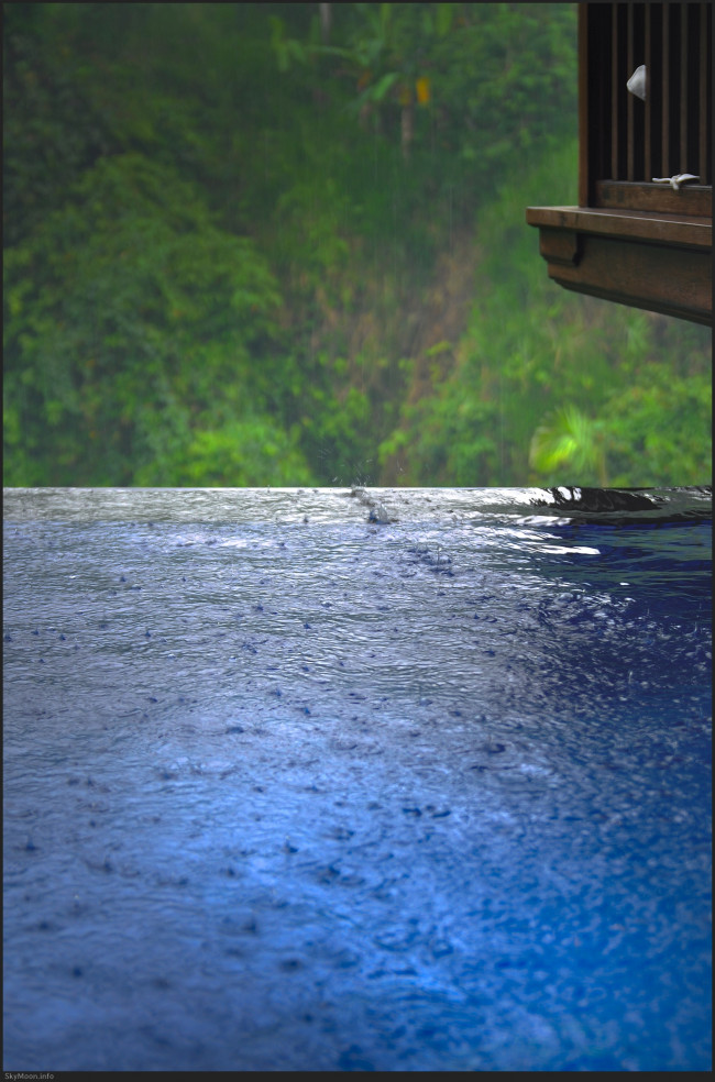 빛의 태어남 (The Emergence of Light) Photo-Image