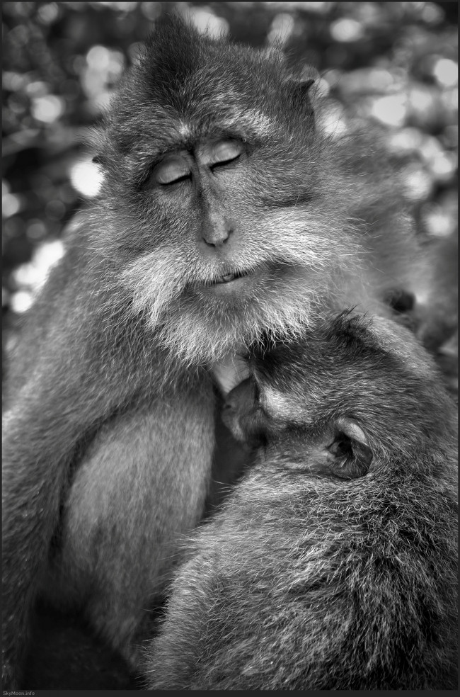 빛의 태어남 (The Emergence of Light) Photo-Image