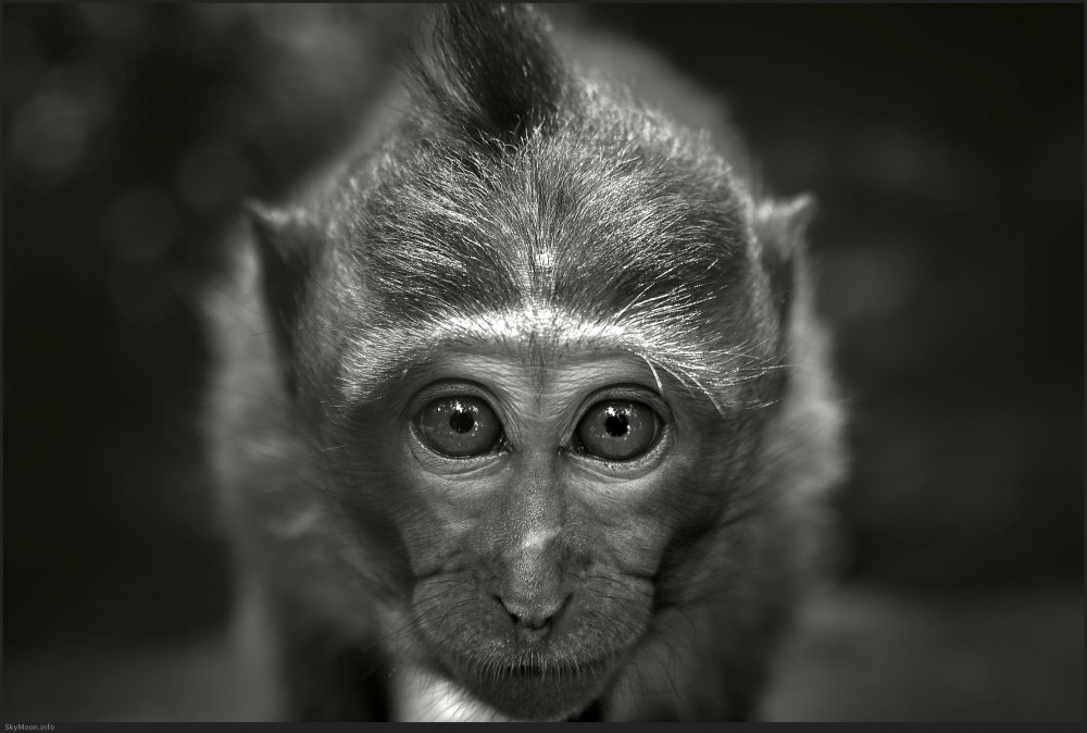 빛의 태어남 (The Emergence of Light) Photo-Image