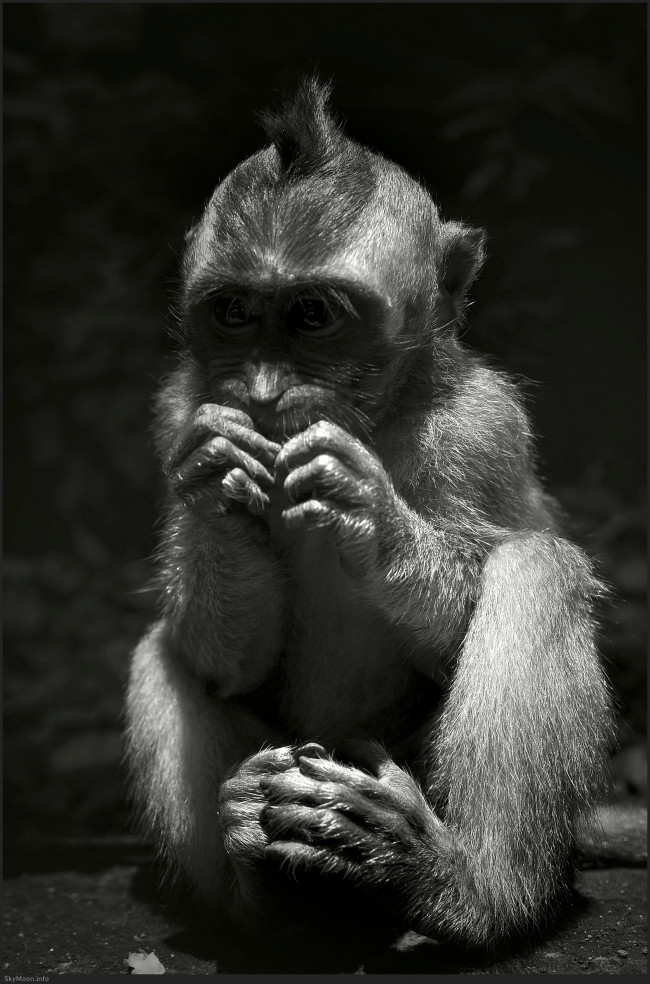 빛의 태어남 (The Emergence of Light) Photo-Image