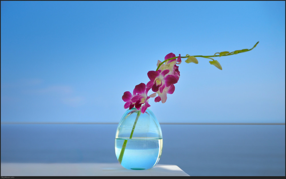 빛의 태어남 (The Emergence of Light) Photo-Image