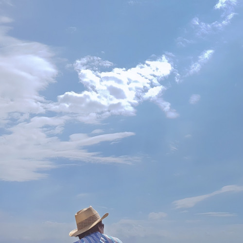 삶의 여행 (A journey of life)_길리 트라왕안 Photo-Image