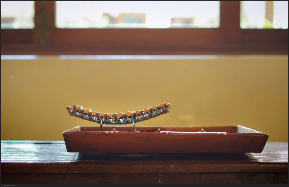 삶의 여행 (A journey of life)_길리 트라왕안 Photo-Image