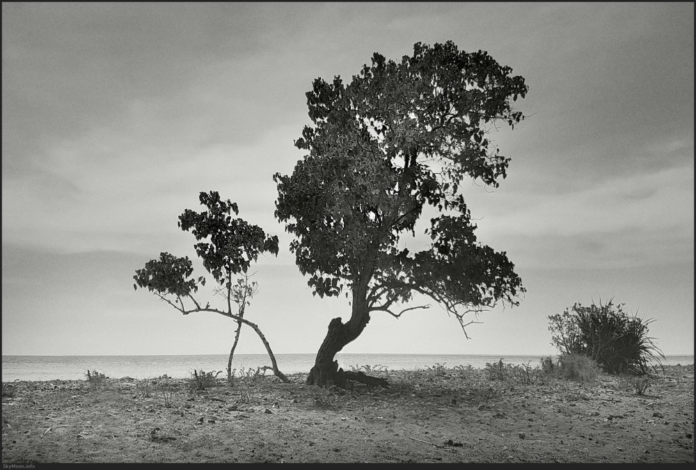 삶의 여행 (A journey of life)_길리 트라왕안 Photo-Image