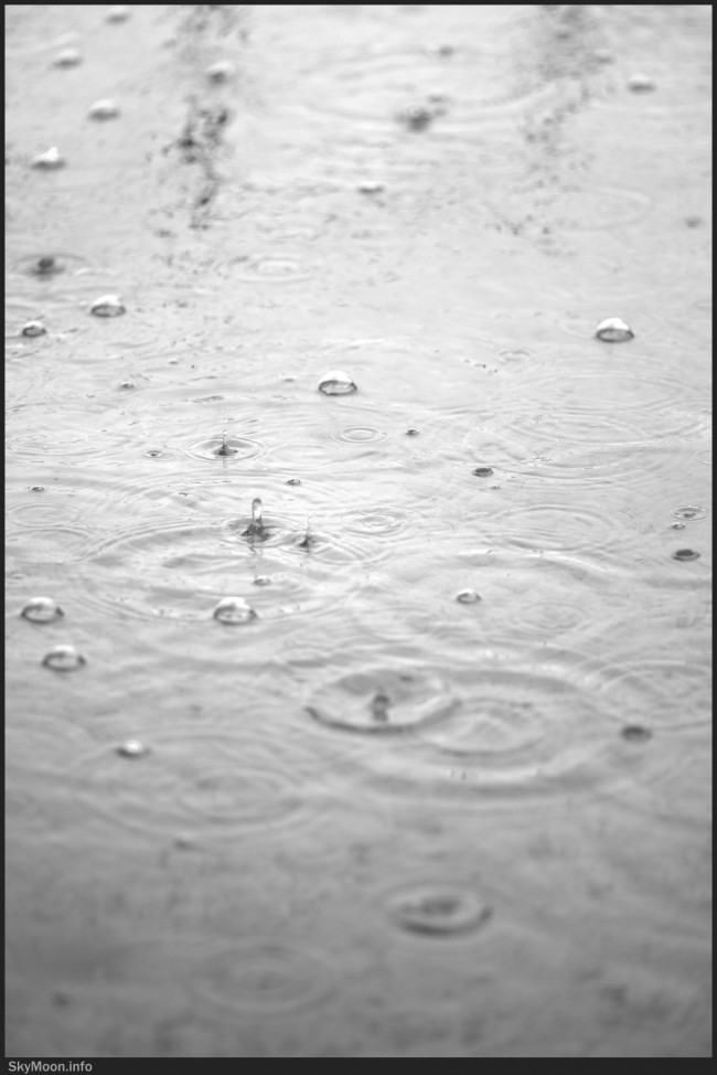 비의 꿈 (Dream of a rain) Photo-Image