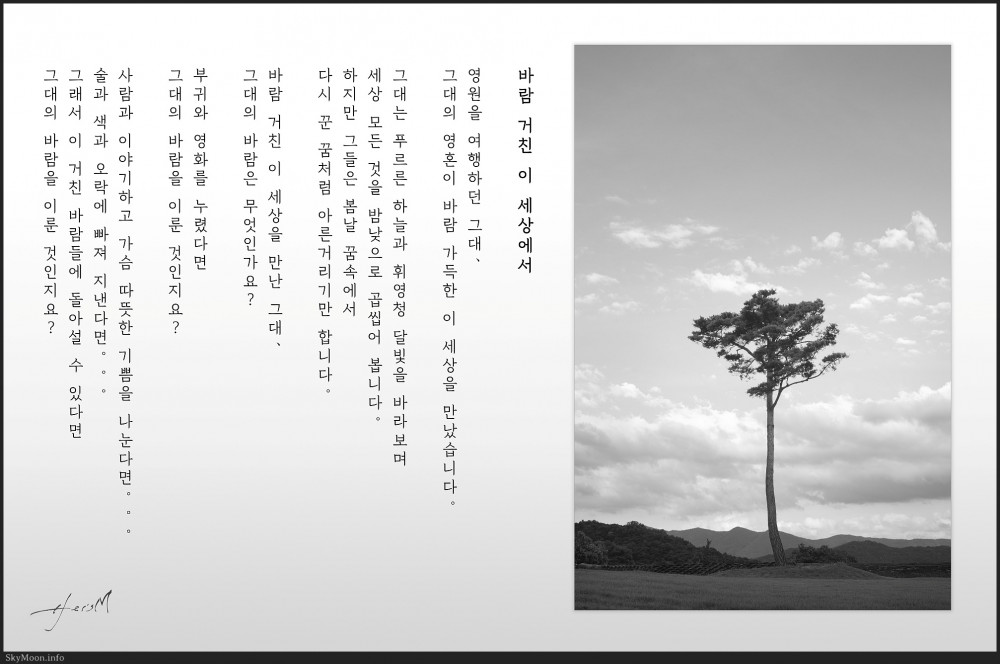 바람 거친 이 세상에서 (In this windy world) Photo-Image