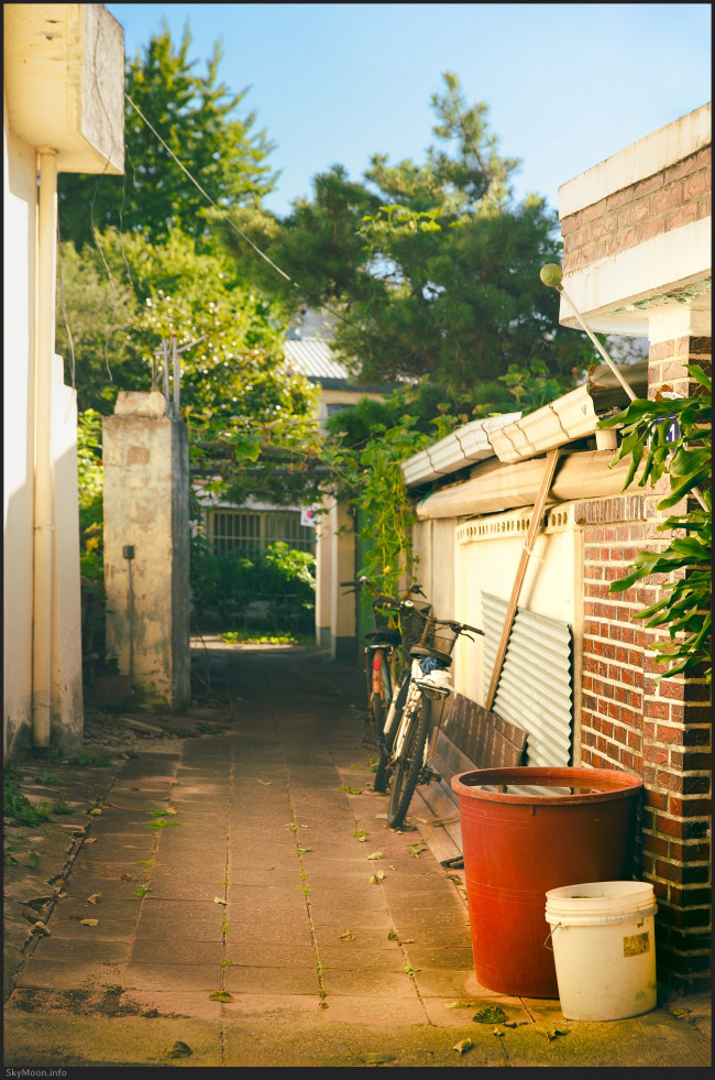 오후의 골목길 (Alleyways in the afternoon) 2 Photo-Image