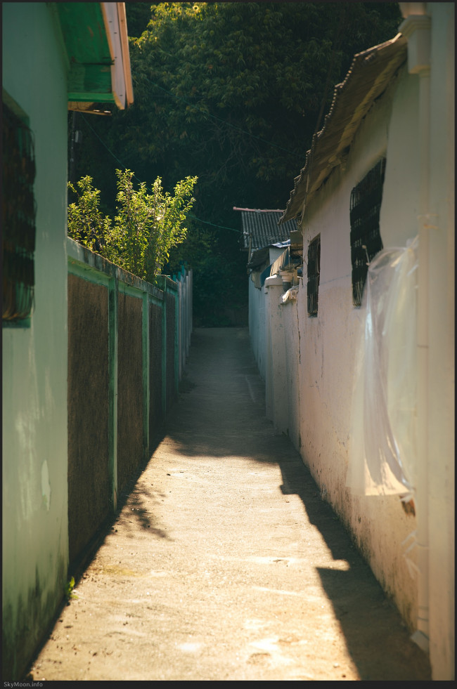 오후의 골목길 (Alleyways in the afternoon) 2 Photo-Image