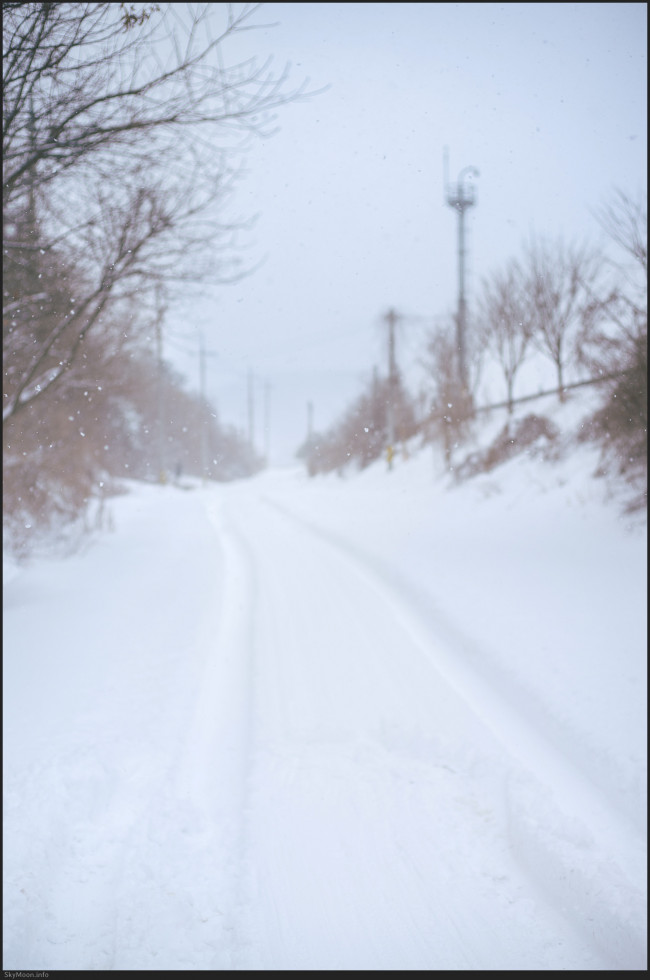 설국 풍경 (Snowy Landscape) 1 Photo-Image