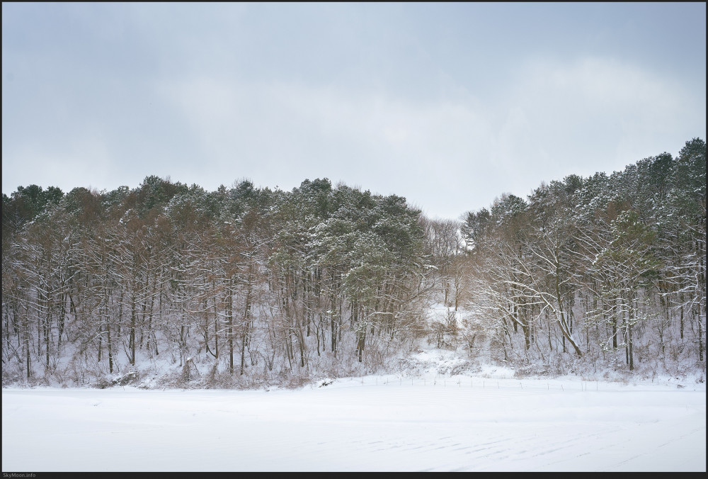 설국 풍경 (Snowy Landscape) 1 Photo-Image