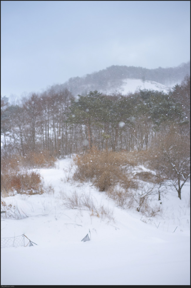 설국 풍경 (Snowy Landscape) 1 Photo-Image