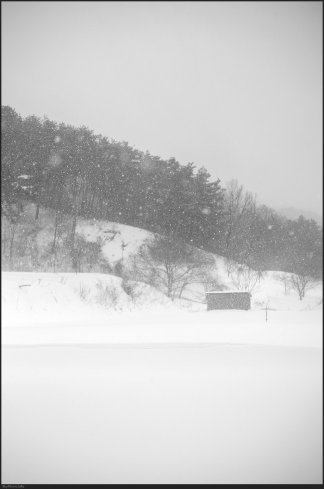 설국 풍경 (Snowy Landscape) 1 Photo-Image