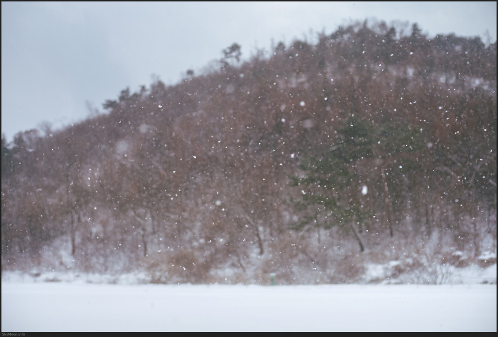 설국 풍경 (Snowy Landscape) 1 Photo-Image