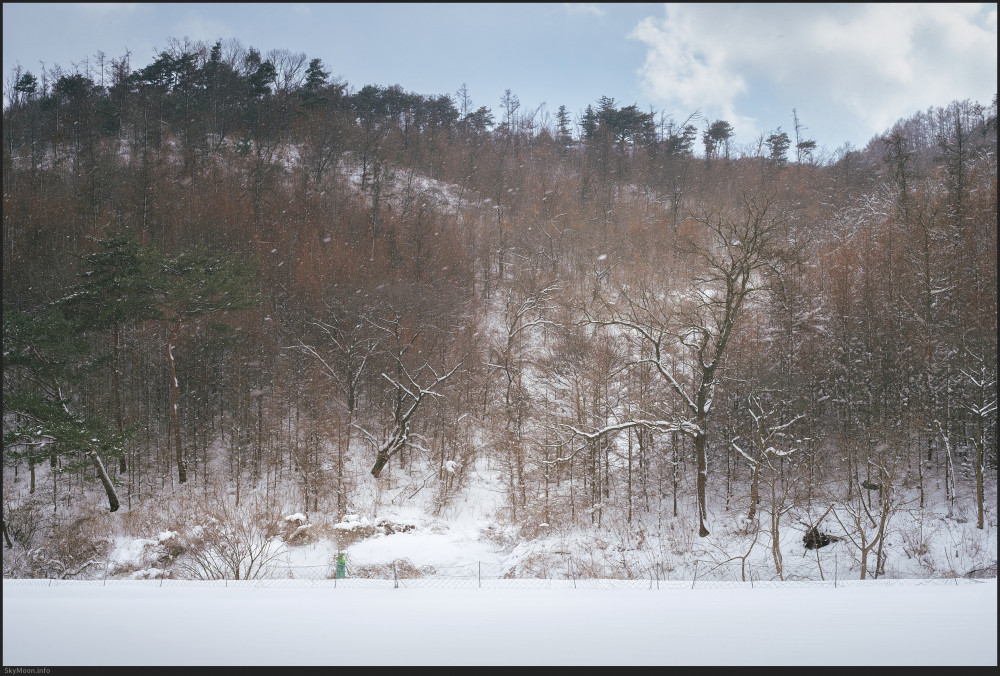 설국 풍경 (Snowy Landscape) 1 Photo-Image