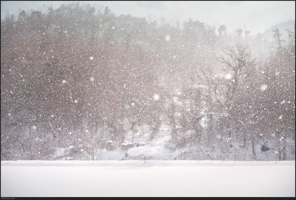 설국 풍경 (Snowy Landscape) 1 Photo-Image