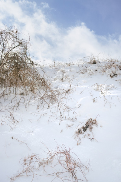 설국 풍경 (Snowy Landscape) 2 Photo-Image