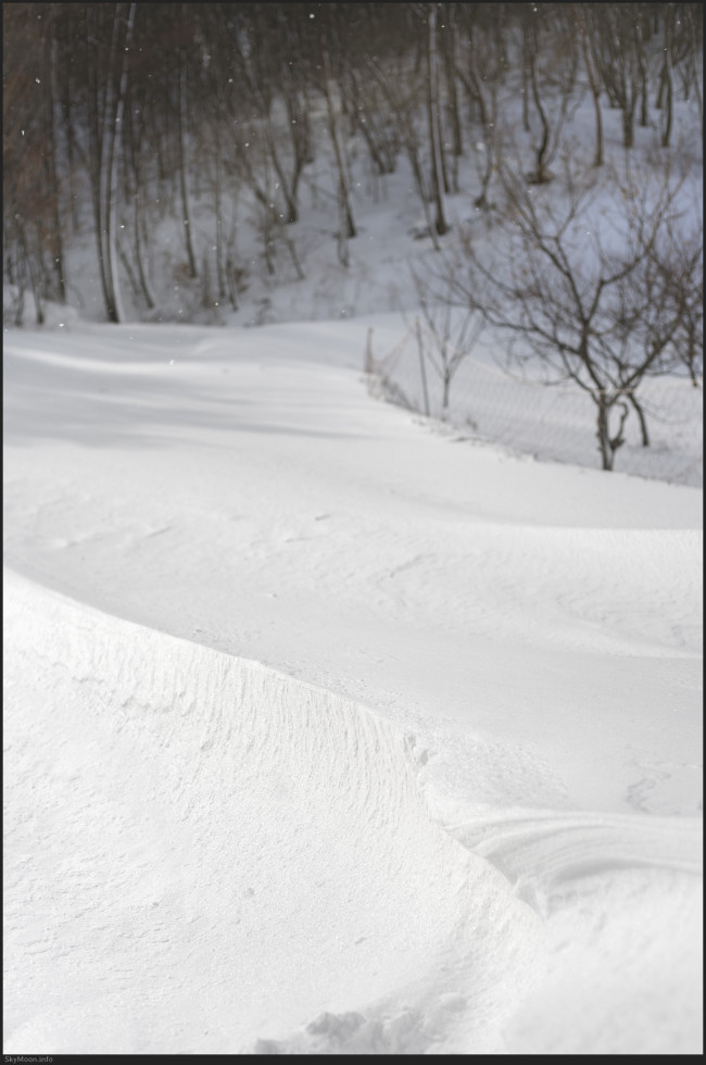 설국 풍경 (Snowy Landscape) 2 Photo-Image