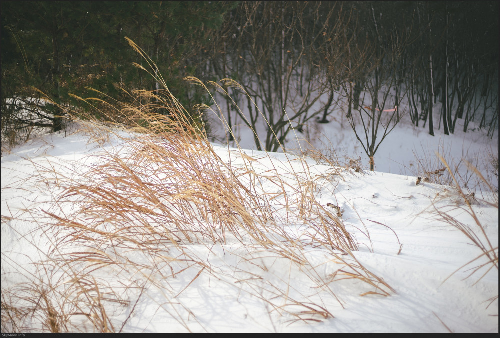 설국 풍경 (Snowy Landscape) 2 Photo-Image