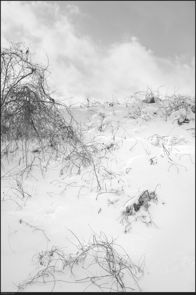 설국 풍경 (Snowy Landscape) 2 Photo-Image