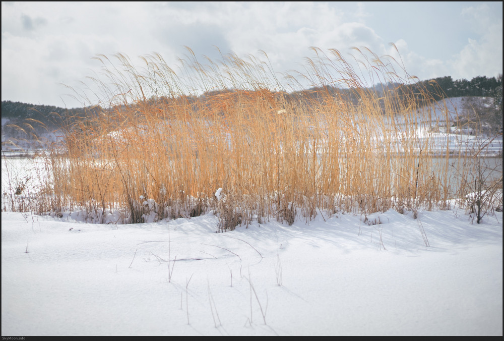 설국 풍경 (Snowy Landscape) 2 Photo-Image