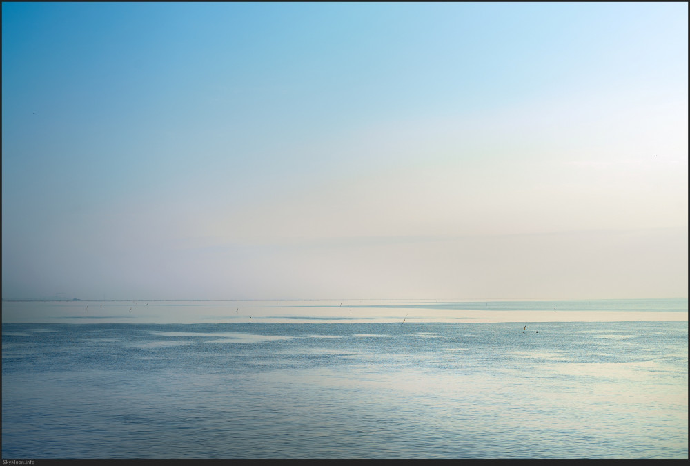 자유 (Freeedom) 3 Photo-Image