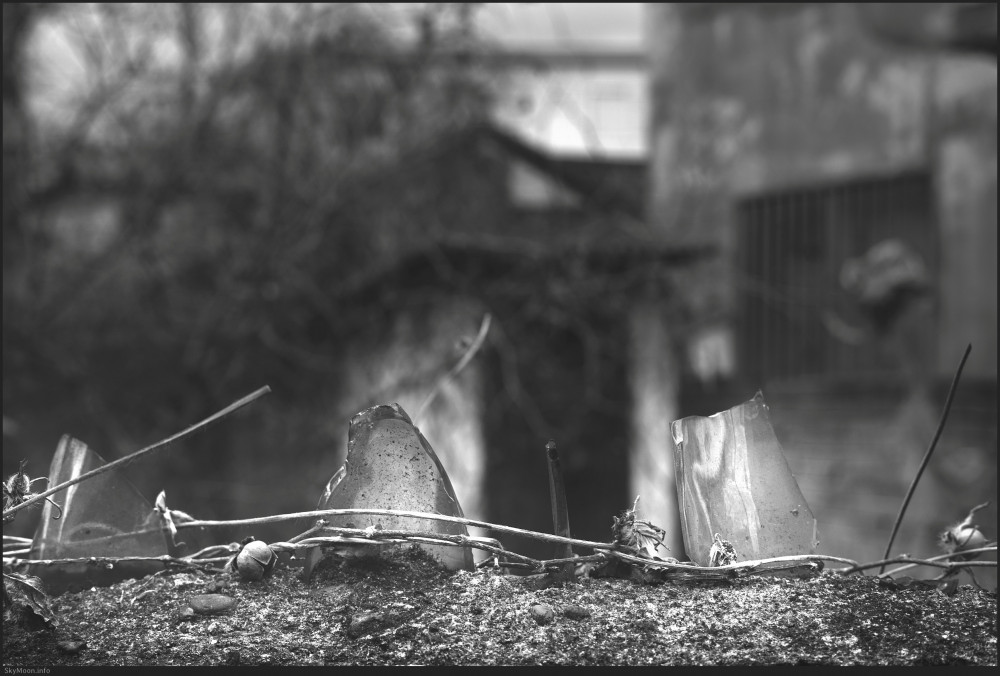 보이지 않는 풍경-선(禪) 7 (Invisible scenery-Zen 7) Photo-Image