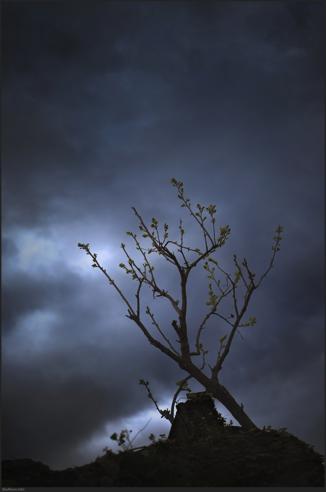 풍경 명상-선(禪) 8 (Meditation on the scenery-Zen 8) Photo-Image