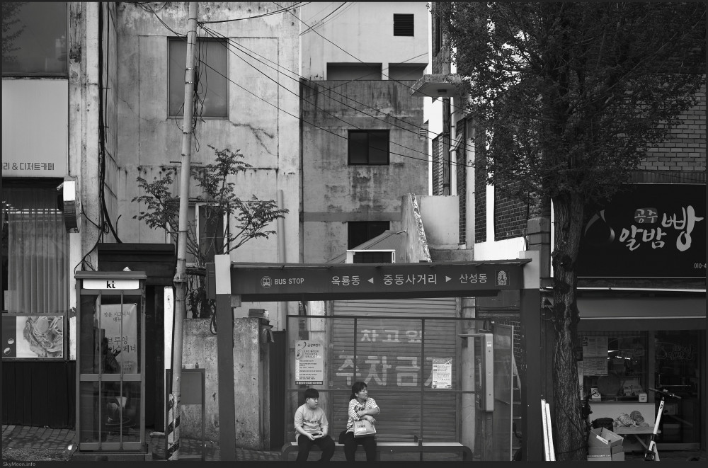 풍경 명상-선(禪) 8 (Meditation on the scenery-Zen 8) Photo-Image