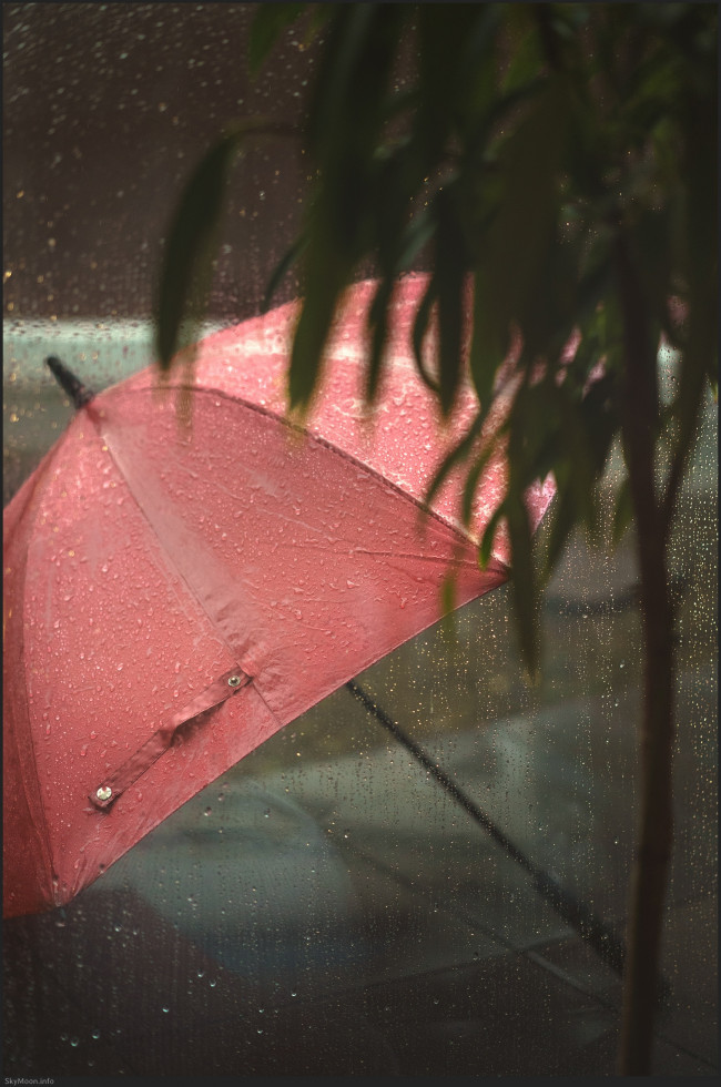 풍경 명상-선(禪) 8 (Meditation on the scenery-Zen 8) Photo-Image