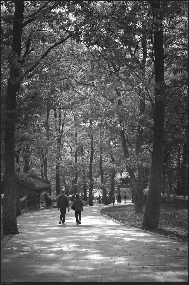 w_Milyang_FE55_20250427-151725-U-bw.jpg