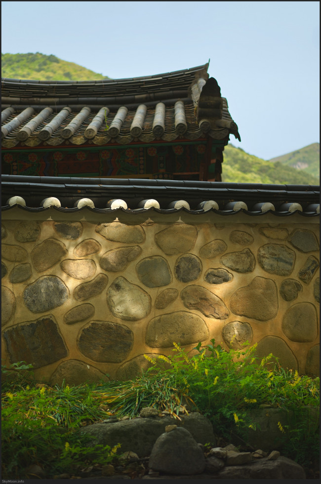 w_Milyang_FE55_20250427-152345-U.jpg