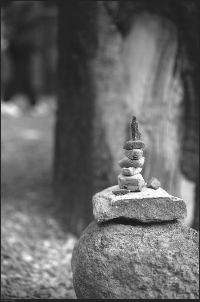 w_Milyang_FE55_20250427-152606-U-bw.jpg