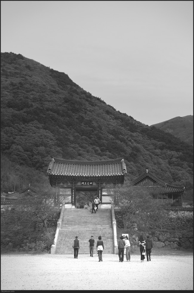 w_Milyang_FE55_20250427-153440-U-bw.jpg