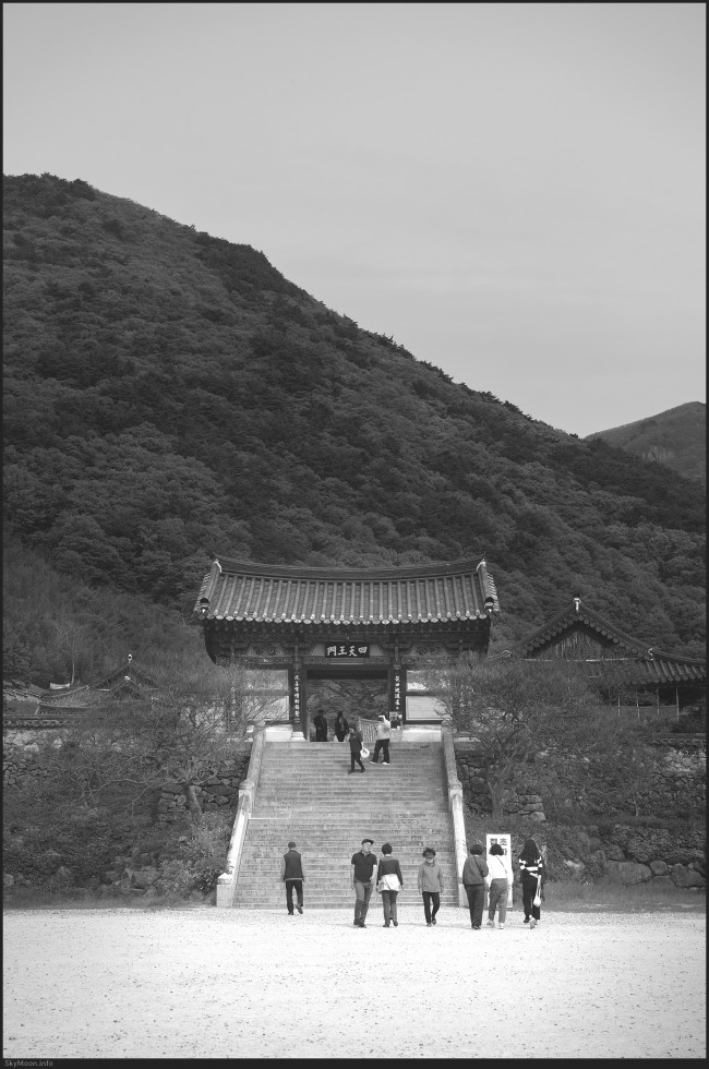 w_Milyang_FE55_20250427-153444-U-bw.jpg