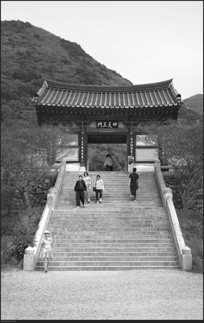 w_Milyang_FE55_20250427-154034-bw.jpg