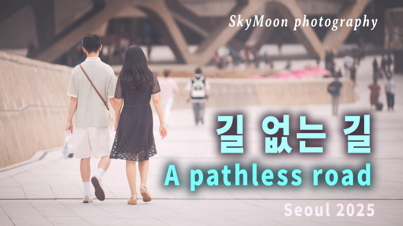 길 없는 길 (A pathless road) Photo-Image