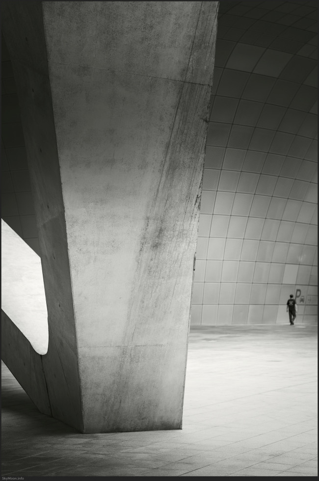 길 없는 길 (A pathless road) Photo-Image