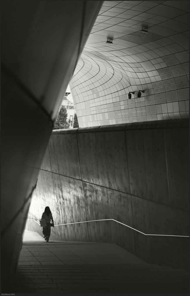 길 없는 길 (A pathless road) Photo-Image