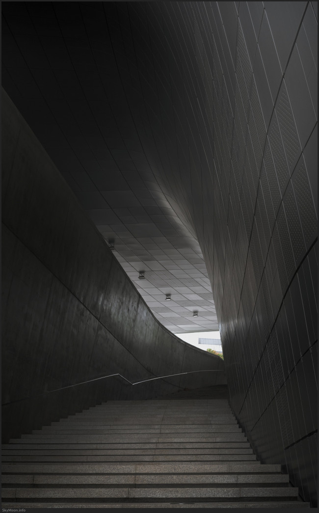 길 없는 길 (A pathless road) Photo-Image