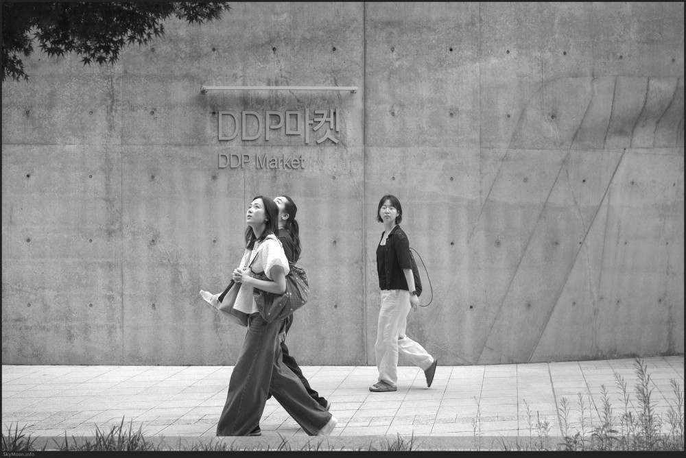 길 없는 길 (A pathless road) Photo-Image
