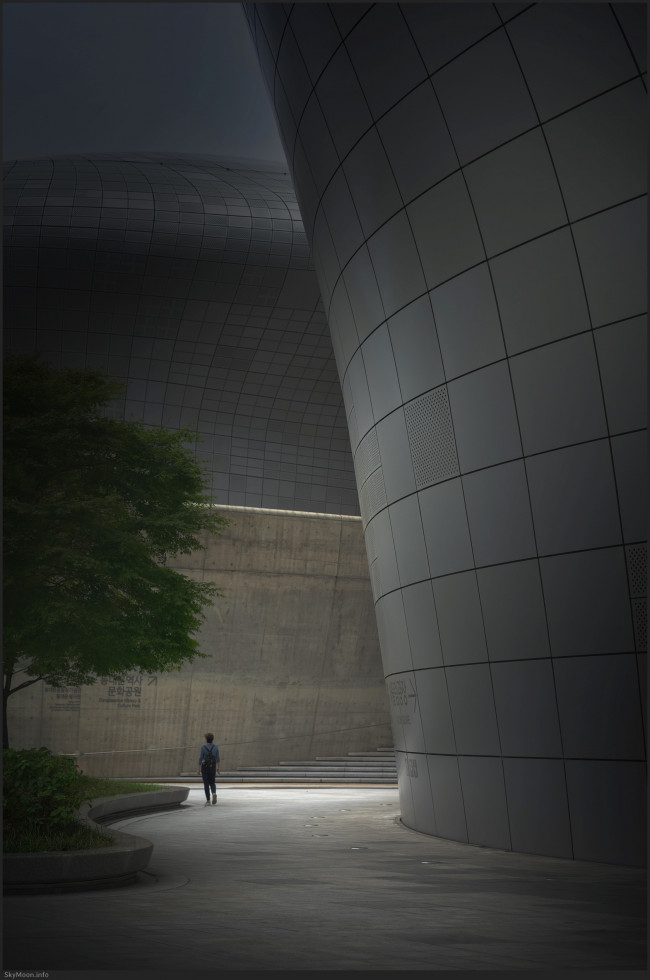 길 없는 길 (A pathless road) Photo-Image