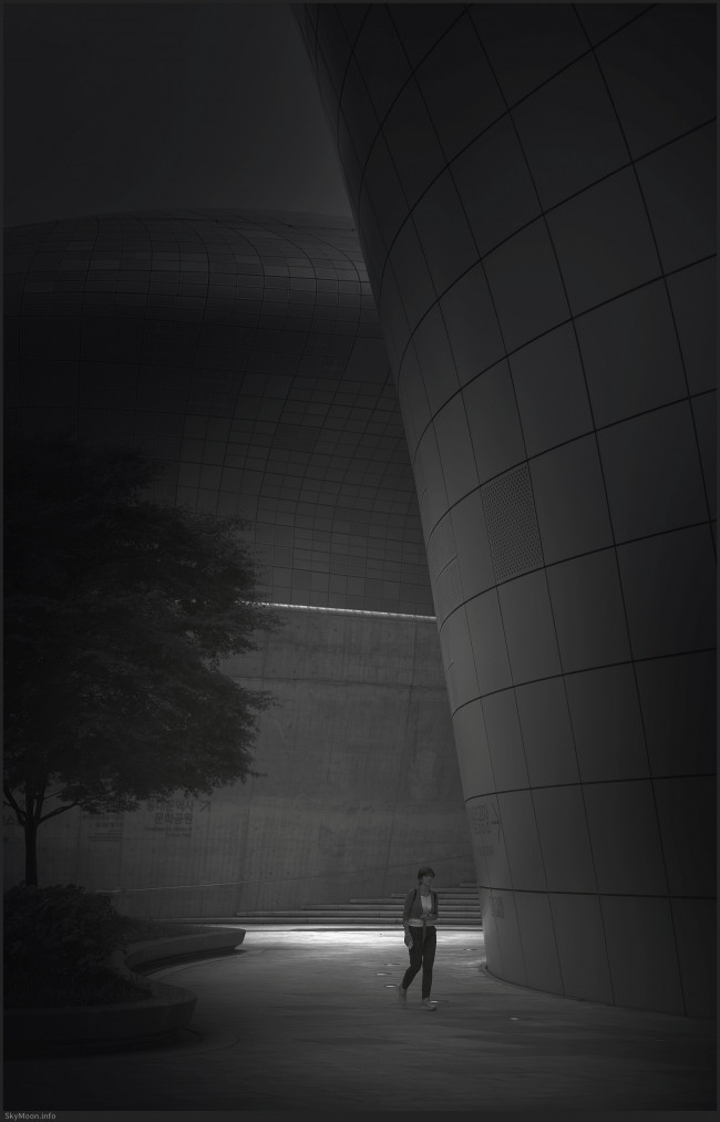 길 없는 길 (A pathless road) Photo-Image