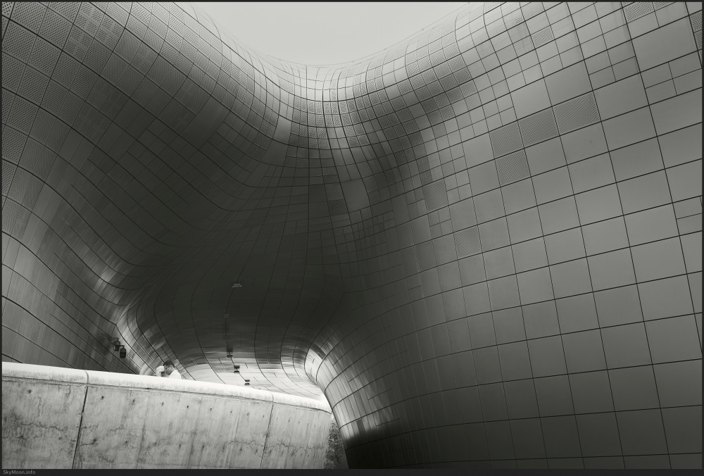 길 없는 길 (A pathless road) Photo-Image
